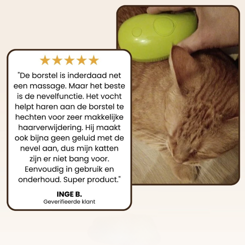SteamBrush- For Cats & Dogs
