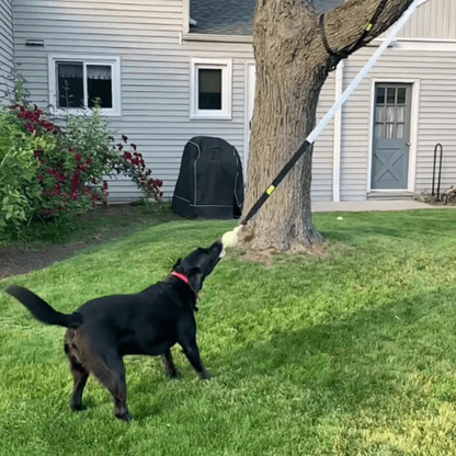 BungeeToy| The Ultimate Tug and Chew Toy for Active Dogs