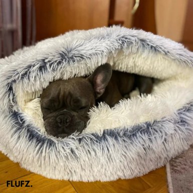 CozyPet | The Ultimate Resting Spot for Your Pet