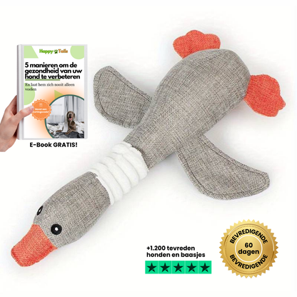 Ducky - The Indestructible Duck That Entertains Your Dog