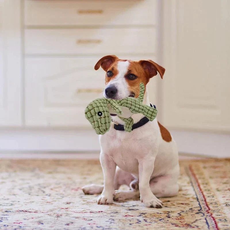 DinoPet - Dinosaur Plush Toy | For Your Favorite Pet - Cute - Hours of Playtime