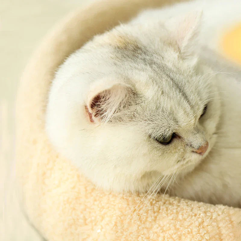 2-in-1 Warm Cat Bed & Scratching Cushion