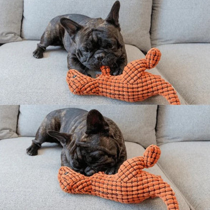 Indestructible Toy - Dog Toy