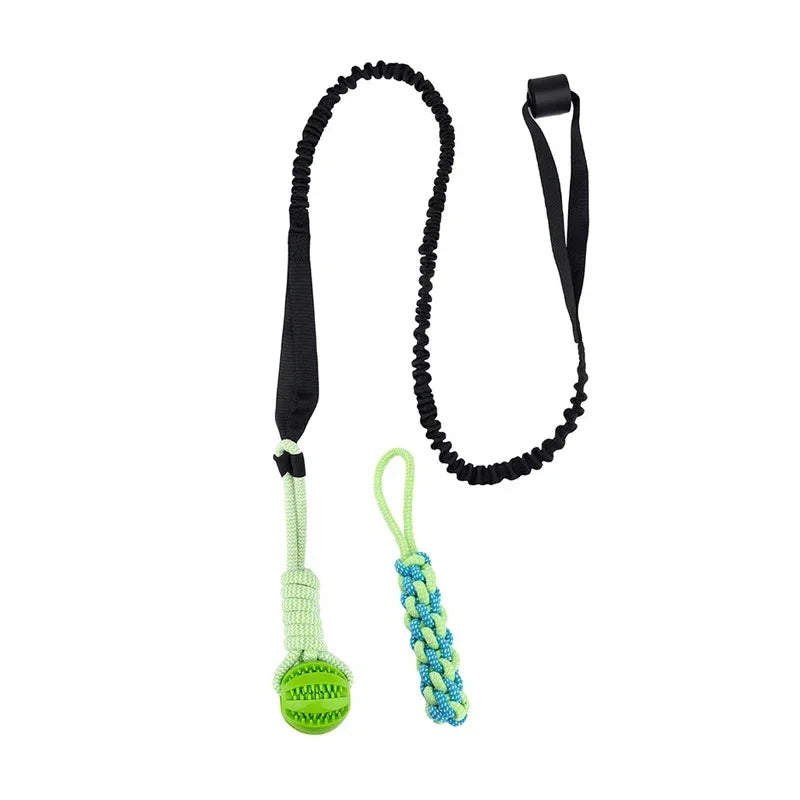 BungeeToy| The Ultimate Tug and Chew Toy for Active Dogs