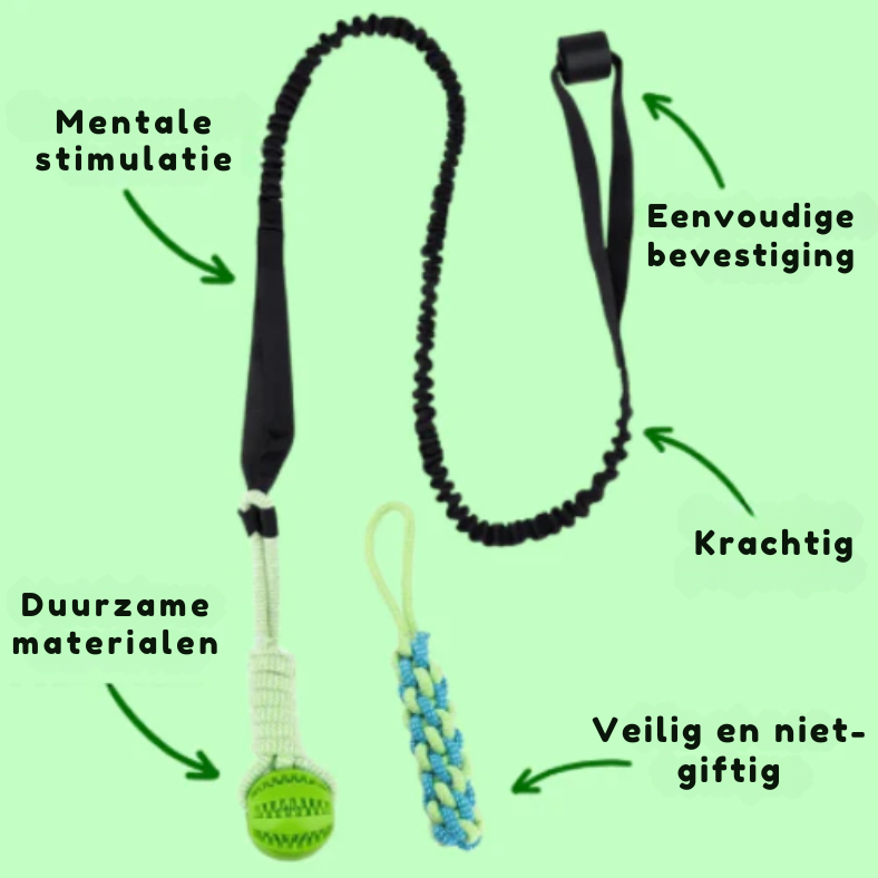 BungeeToy| The Ultimate Tug and Chew Toy for Active Dogs