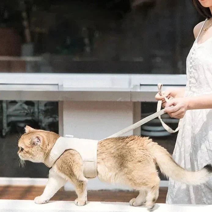 Flufz Anti-Strike Cat Harness with Leash