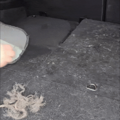 CleanBuddy | The perfect solution for a clean and hair-free environment.