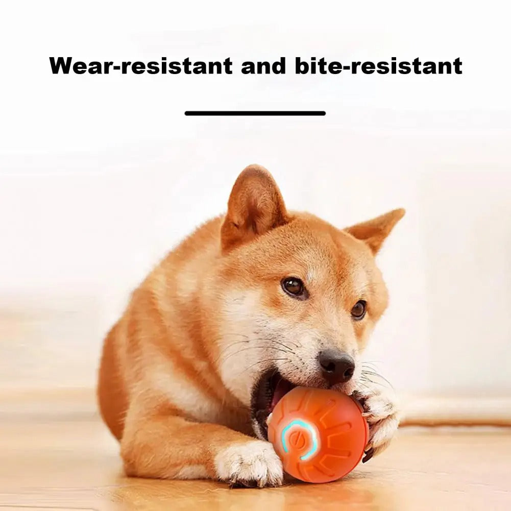 BouncyBuddy Pet Play Ball