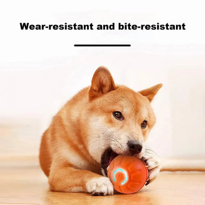 BouncyBuddy Pet Play Ball