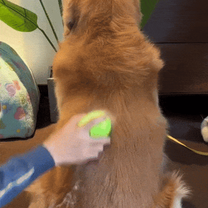 SteamBrush- For Cats & Dogs